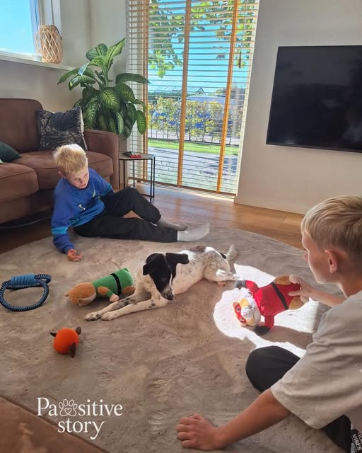 Sweetie ligt op de vloer bij haar nieuwe gezin.