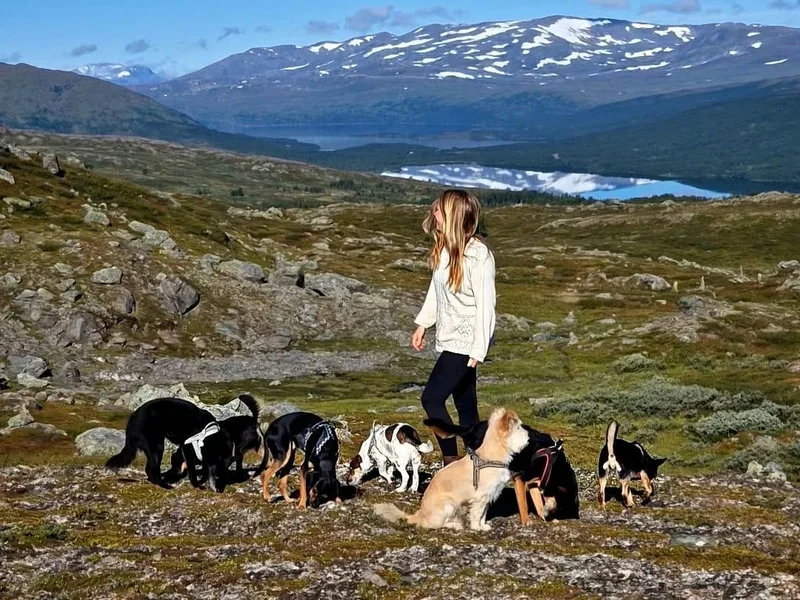 Laura Wansink met honden in een berglandschap.